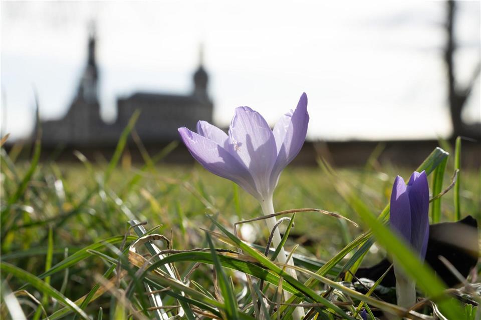 Aprilwetter in Sachsen - Mittwoch bringt Sonne und 15 Grad. (Symbolbild)Sebastian Kahnert/dpa
