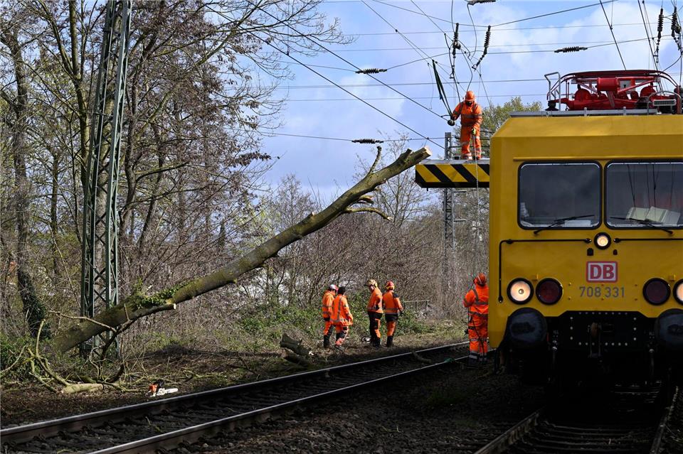 Arbeiter beseitigen den Baum, der bei Mönchengladbach in die Gleise gefallen ist.Roberto Pfeil/dpa