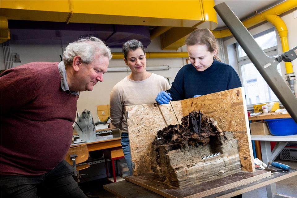 Archäologe Harald Lübke erhofft sich von Restaurateurin Corinna Mayer und Archäozoologin Natascha Kipke Antworten zu einem Holzpflock im Schädel.Daniel Bockwoldt/dpa