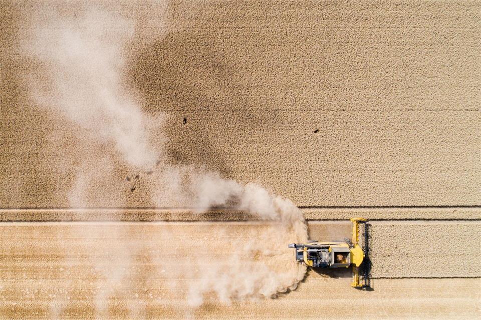 (Archivbild)Julian Stratenschulte/dpa