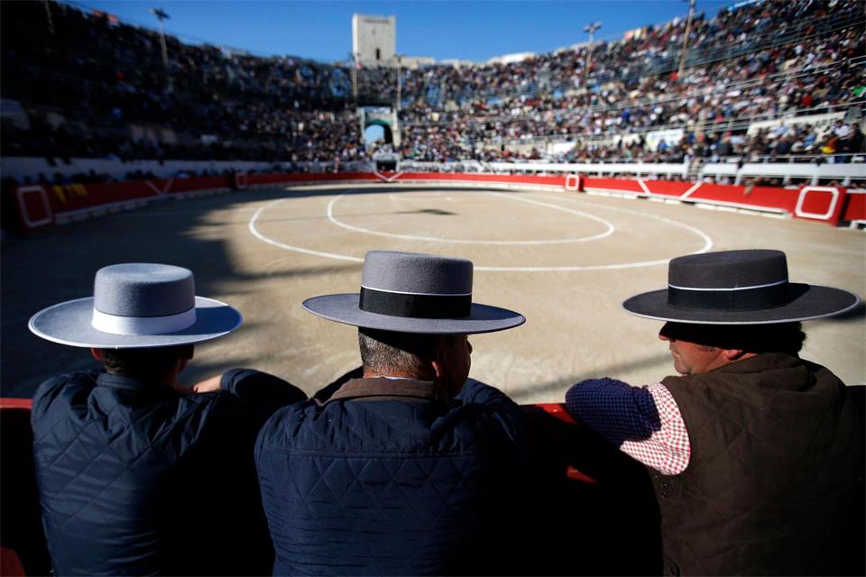 Arena in Arles: Der Stierkampf nach südfranzösischer Art ist in aller Regel unblutig. Es wird dabei nur versucht, den Tieren Trophäen von den Hörnern zu reißen.Guillaume Horcajuelo/epa/dpa-tmn