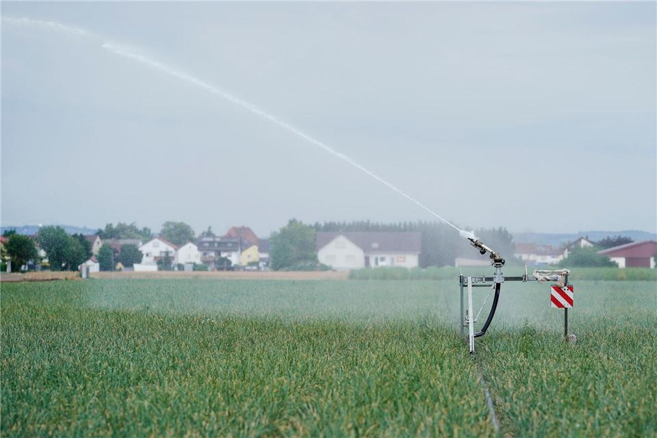 Artenschutzmaßnahmen können in fruchtbaren Gegenden wie der Vorderpfalz ganz anders aussehen als in Mittelgebirgslagen in Eifel oder Hunsrück. (Archivbild)Uwe Anspach/dpa
