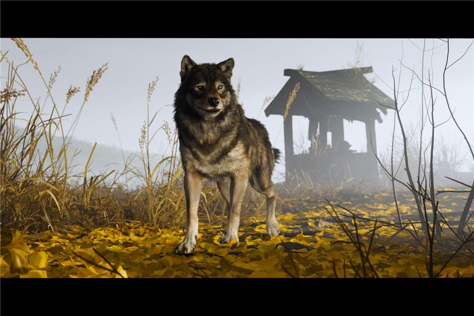 „Ghost of Yotei“: Wunderschöne Rache Atsu muss ein Rudel um sich sammeln: DIe Wölfin ist Teil davon.Sony Interactive Entertainment/dpa-tmn