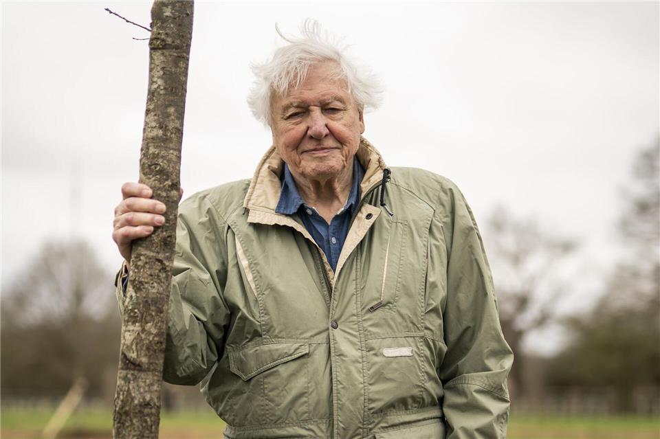 Attenborough wird heute 100 Jahre alt. (Archivbild)Aaron Chown/PA Wire/dpa