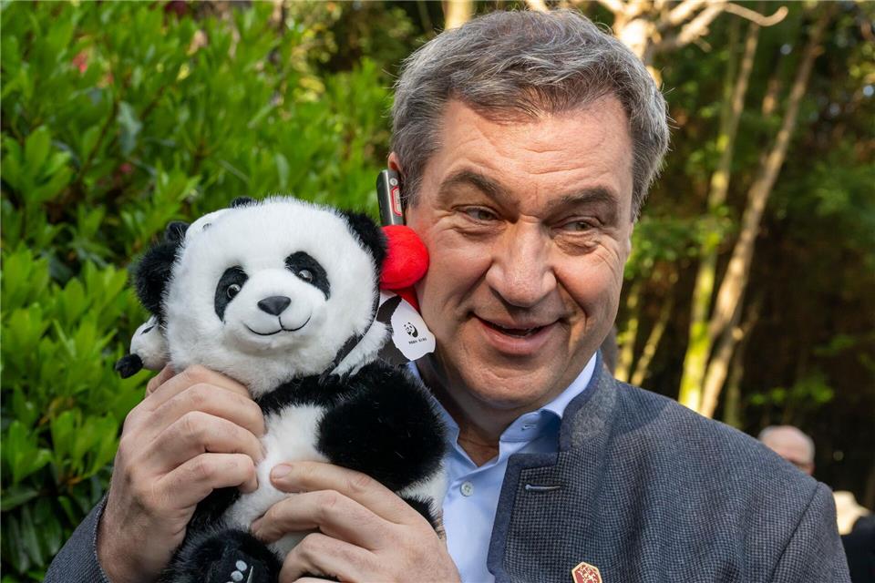 Auch Bayerns Ministerpräsident Markus Söder (r.) hat Gefallen an Pandas gefunden. (Archivbild)Peter Kneffel/dpa