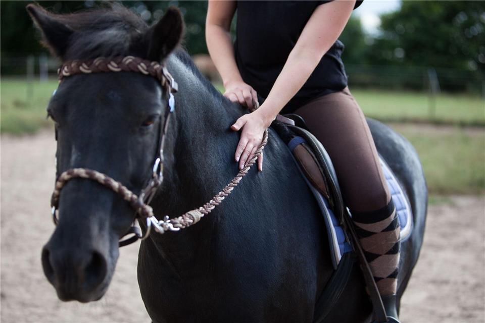 Auch Begegnungen mit Pferden können zu einer Therapie von psychischen Krankheiten gehören. Christin Klose/dpa-tmn