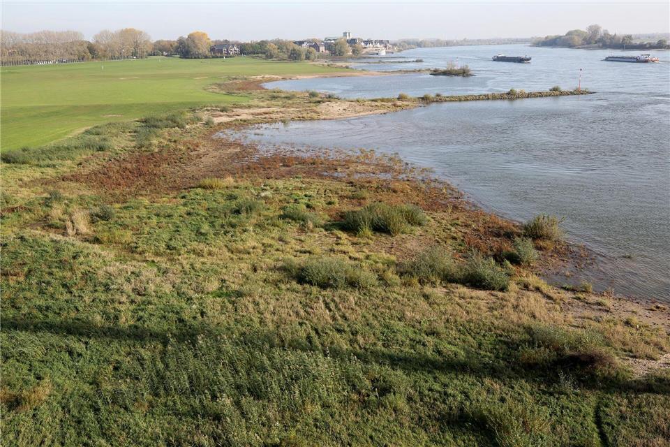 Auch Deiche bringen als Bodendenkmale oft überraschende archäologische Funde hervor. (Archivbild)Roland Weihrauch/dpa