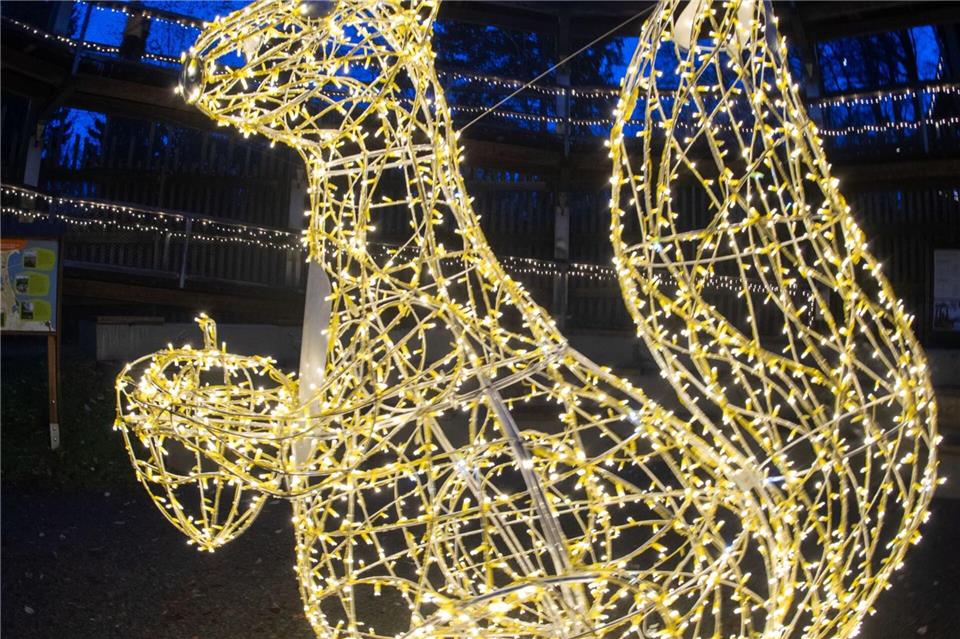 Auch Figuren wie Eichhörnchen werden beleuchtet.  Stefan Sauer/dpa