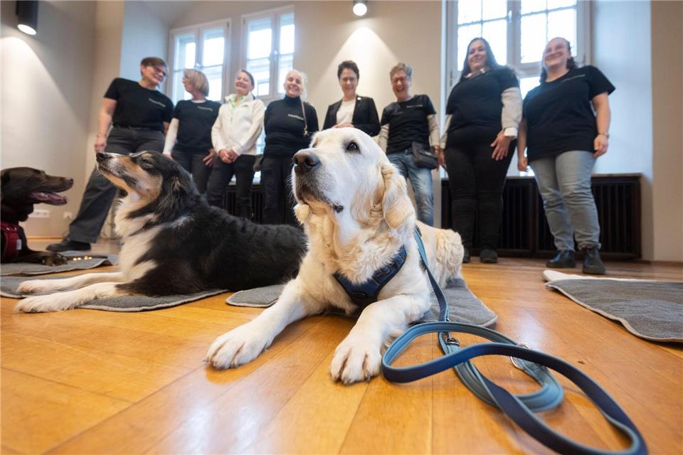 Auch Golden Retriever „Nele“ hilft vor Gericht aus.Marijan Murat/dpa