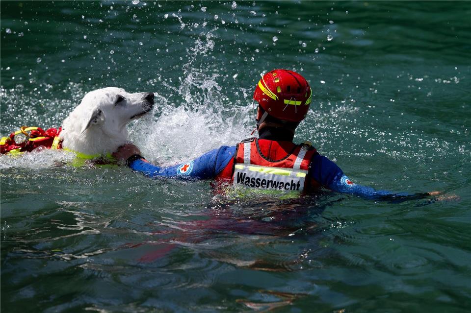 Auch Hunde helfen nach Badeunfällen bei der Rettung aus dem Wasser.  A4366 Sven Hoppe/dpa