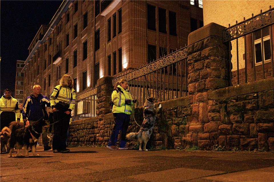 Auch Hunde nahmen die Spur von Noah auf. (Archivbild)  Hannes P. Albert/dpa