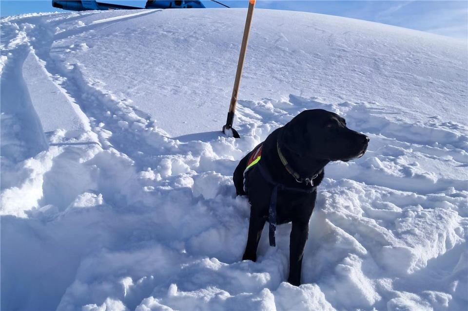 Auch Hunde waren nach dem Lawinenabgang am Finsterkopf im Einsatz. Unbekannt/HUNDESTAFFEL BERGRETTUNG/APA/dpa