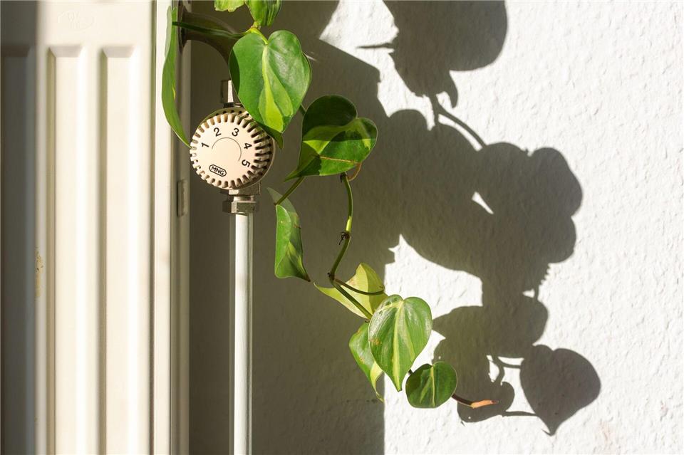 Auch Öl zum Heizen ist teurer geworden. (Symbolbild)Fernando Gutierrez-Juarez/dpa