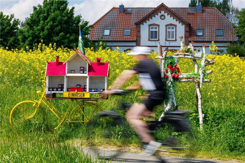 Auch Radwanderer zieht es im Sommer nach Mecklenburg-Vorpommern.Jens Büttner/dpa
