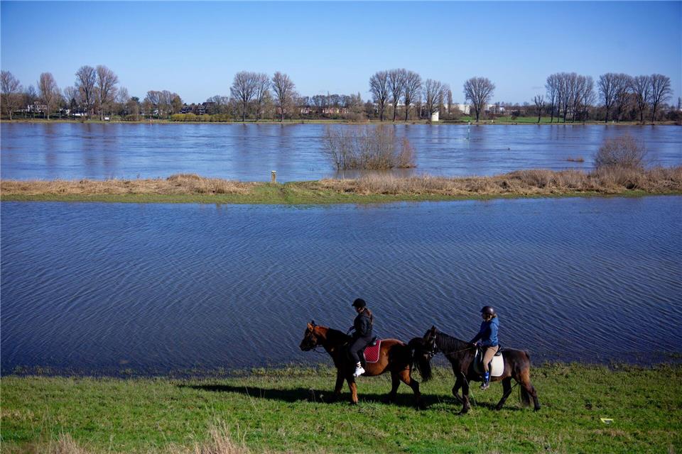 Auch Reiter genießen das frühlingshafte Wetter auf den Rheinwiesen im Norden Kölns.Henning Kaiser/dpa