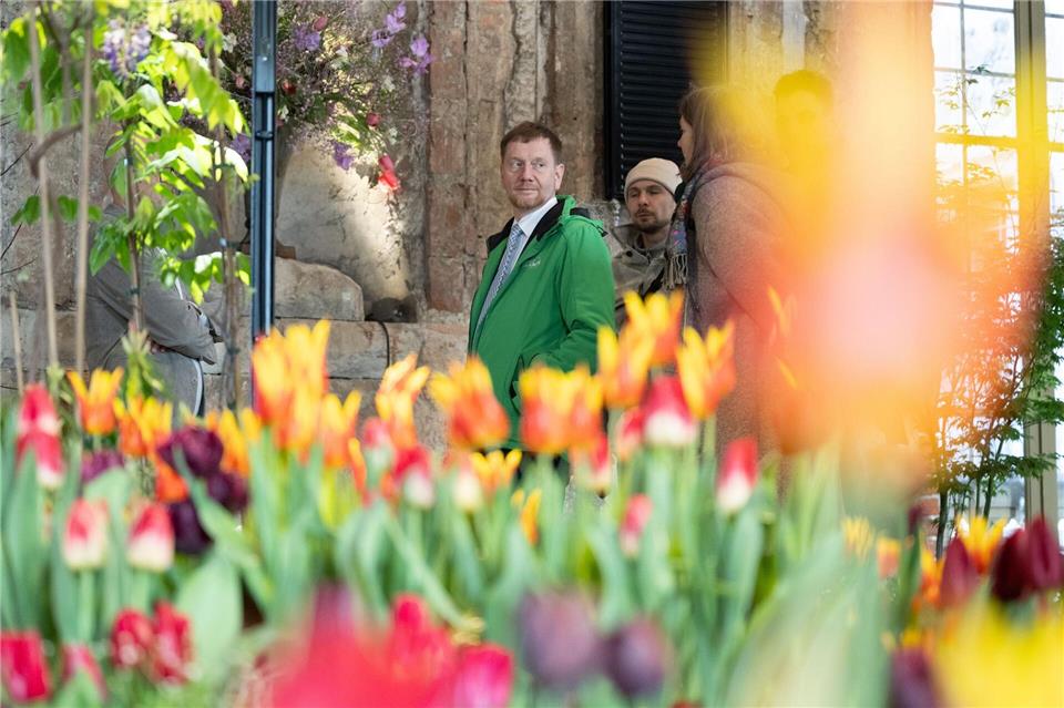 Auch Sachsens Ministerpräsident Michael Kretschmer (CDU) kam zur Blumenschau „Dresdner Frühling“ in das Palais Großer Garten. (Archivbild)Sebastian Kahnert/dpa
