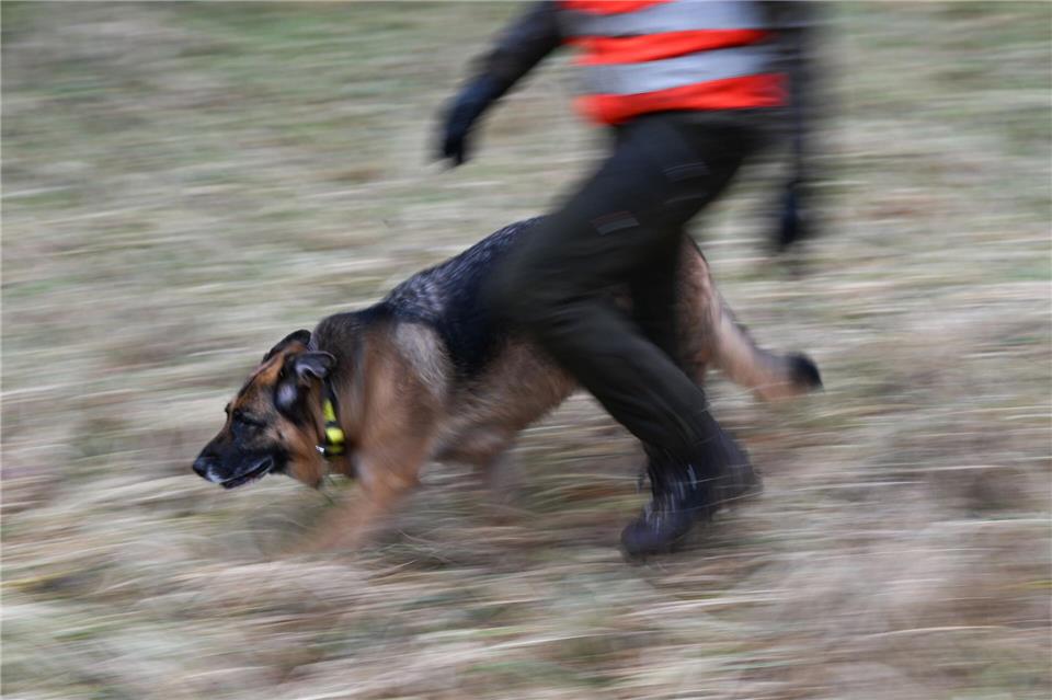 Auch Spürhunde kommen zum Einsatz. (Archivbild)Arne Dedert/dpa
