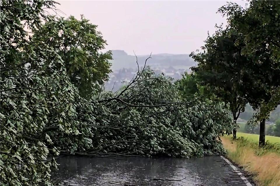 Auch Zufahrtsstraßen wurden durch umgekippte Bäume blockiert. (Symbolbild)Bernd März/extremwetter.tv/dpa