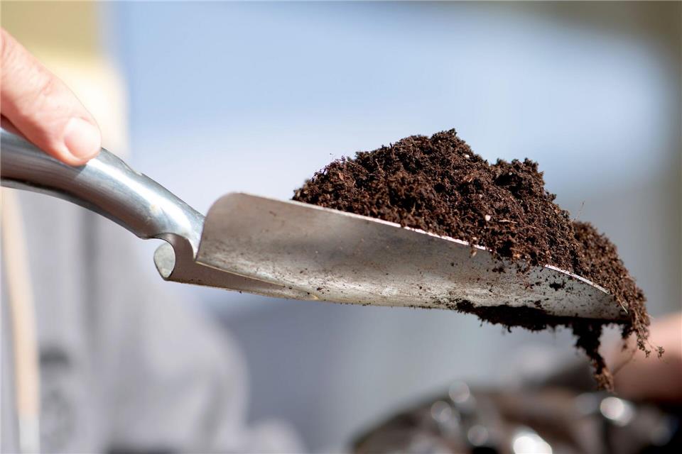 Auch alte Erde aus dem Garten darf auf den Kompost.Andrea Warnecke/dpa-tmn
