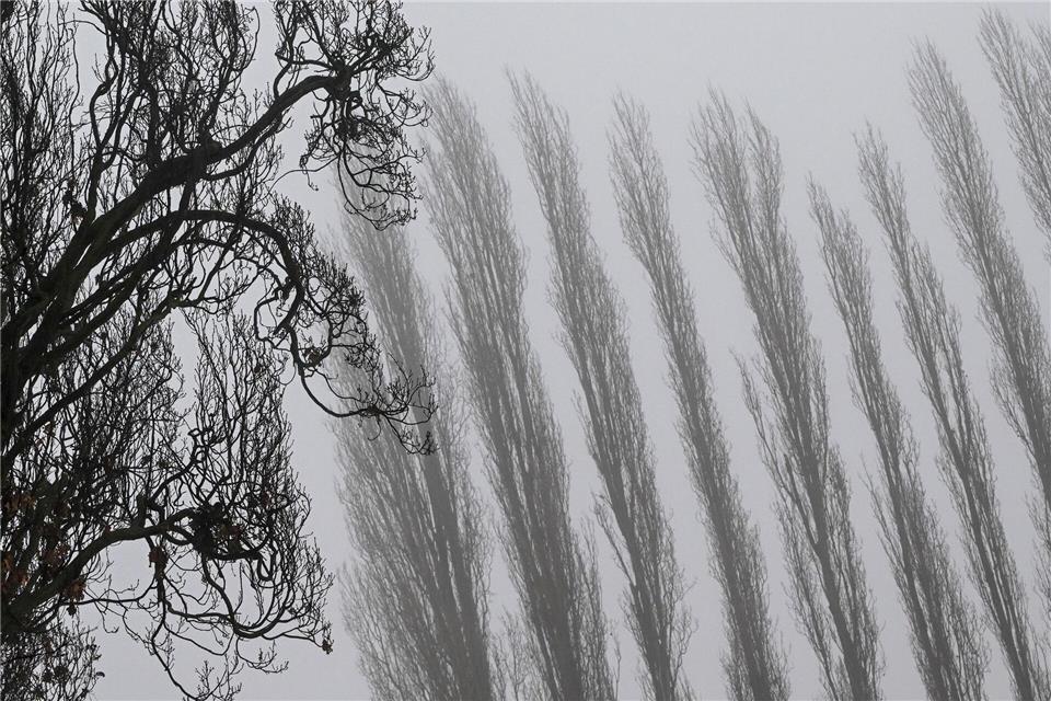 Auch am Donnerstagmorgen bleibt es stellenweise neblig. (Archivbild)Jens Kalaene/dpa