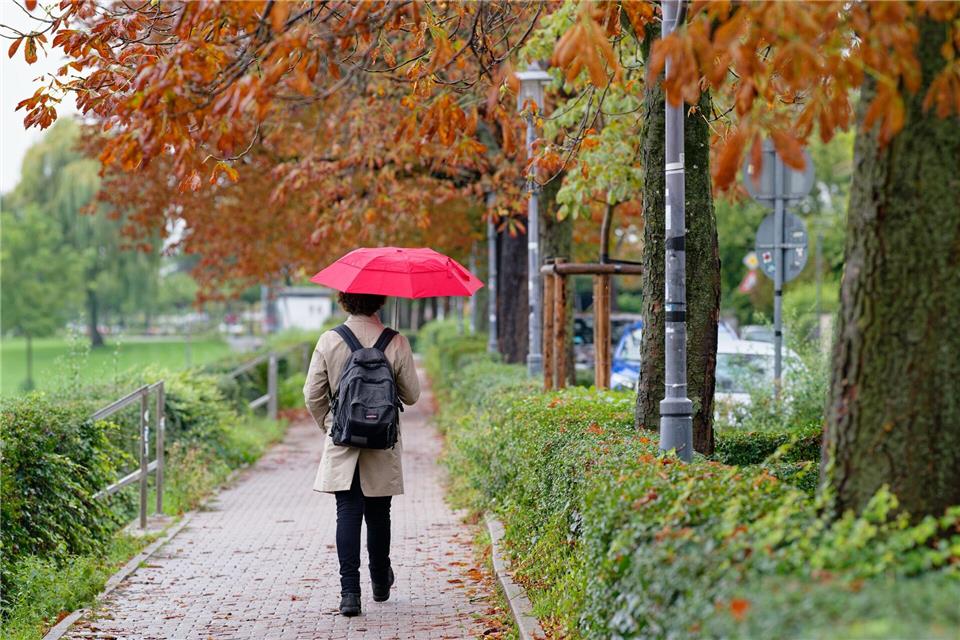 Auch am Freitag bleibt der Regenschirm im Südwesten ein wichtiges Accessoire. (Archivbild)Uwe Anspach/dpa