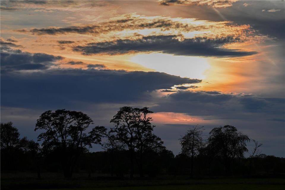Wochenende startet sonnig und mit bis zu 18 Grad Auch am Samstag zeigt sich zunächst die Sonne über Berlin und Brandenburg. (Symbolbild)Soeren Stache/dpa
