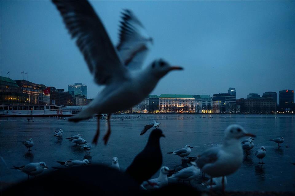 Auch am Wochenende bleibt es im Norden winterlich. (Symbolbild)Gregor Fischer/dpa