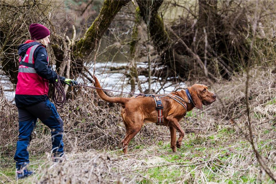 Auch an diesem Wochenende wird die Suche nach dem vermissten Pawlos fortgesetzt. Andreas Arnold/dpa