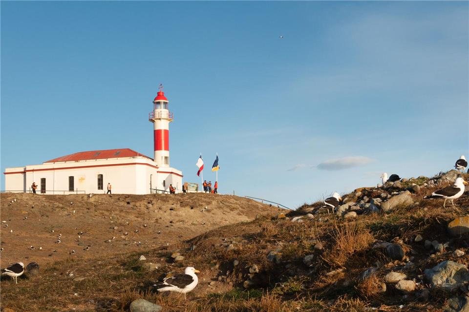 Auch auf der Insel Magdalena, wo viele Pinguine und Seevögel leben, steht ein Leuchtturm.Andreas Drouve/dpa-tmn