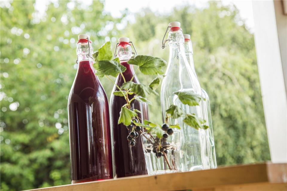 Auch aus Johannisbeeren kann mit Hilfe eines Entsafters ein leckeres Getränk werden.picture alliance / dpa-tmn