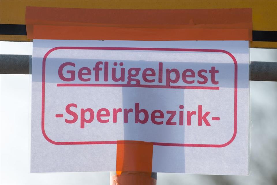 Auch bayerische Behörden warnen vor der Vogelgrippe. (Symbolbild)Armin Weigel/dpa