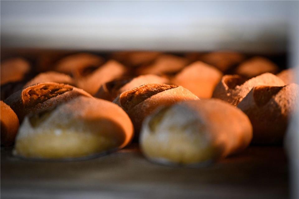 Auch da, wo Brötchen und Brot gebacken werden, kann es sehr heiß werden. (Illustration)Soeren Stache/dpa/dpa-Zentralbild