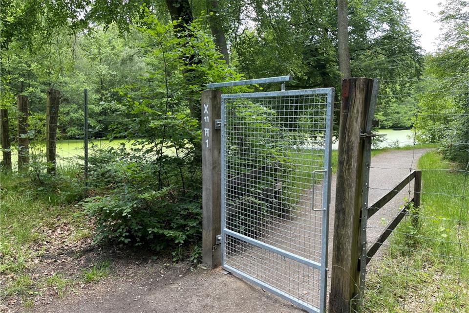 Auch das Tor am Langen Teich wurde erneuert. 