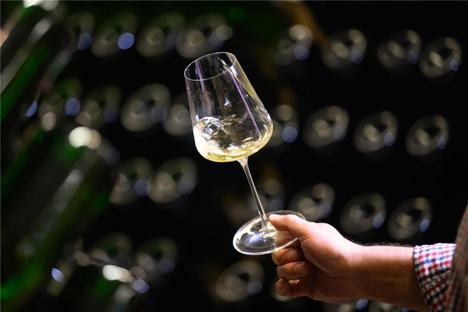 Auch das sächsische Staatsweingut Schloss Wackerbarth hat inzwischen einen alkoholfreien Sekt im Angebot. Robert Michael/dpa