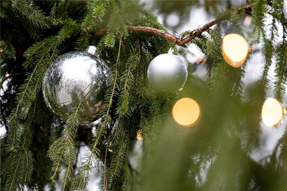 Auch der Christbaumschmuck, die Lichterkette und ein angrenzender Holzzaun wurden beschädigt. (Symbolbild)Fabian Sommer/dpa