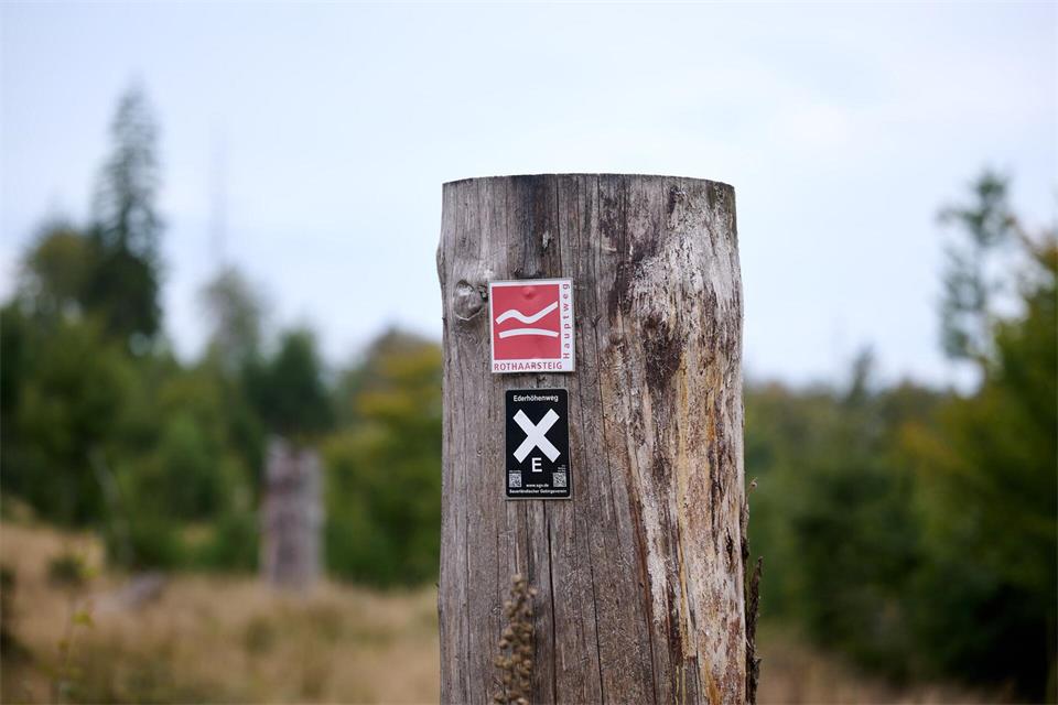 Auch der beliebte Qualitätswanderweg Rothaarsteig verläuft über die vorgesehene Fläche - ein Nationalpark könnte sein touristisches Profil weiter stärken, betonen Befürworter.Bernd Thissen/dpa