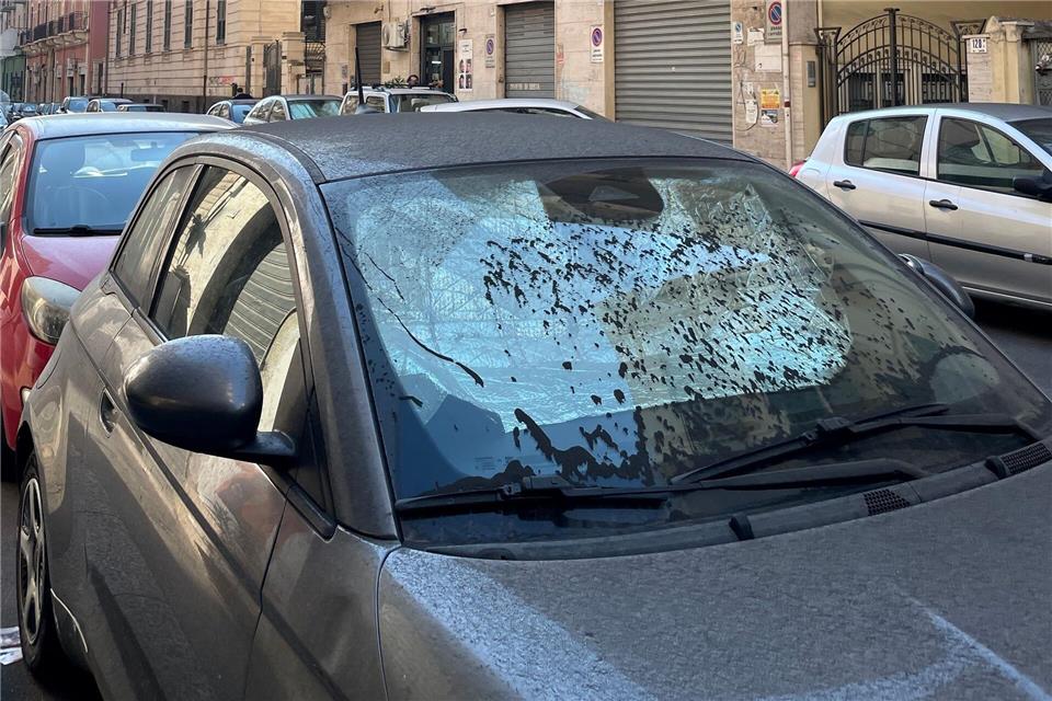 Auch die Scheiben von Autos sind mit Asche bedeckt.Lena Klimkeit/dpa