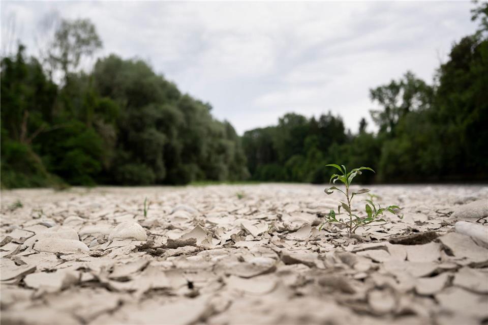 Auch die Schweiz hat mit Wassermangel zu kämpfen. Anthony Anex/KEYSTONE/dpa