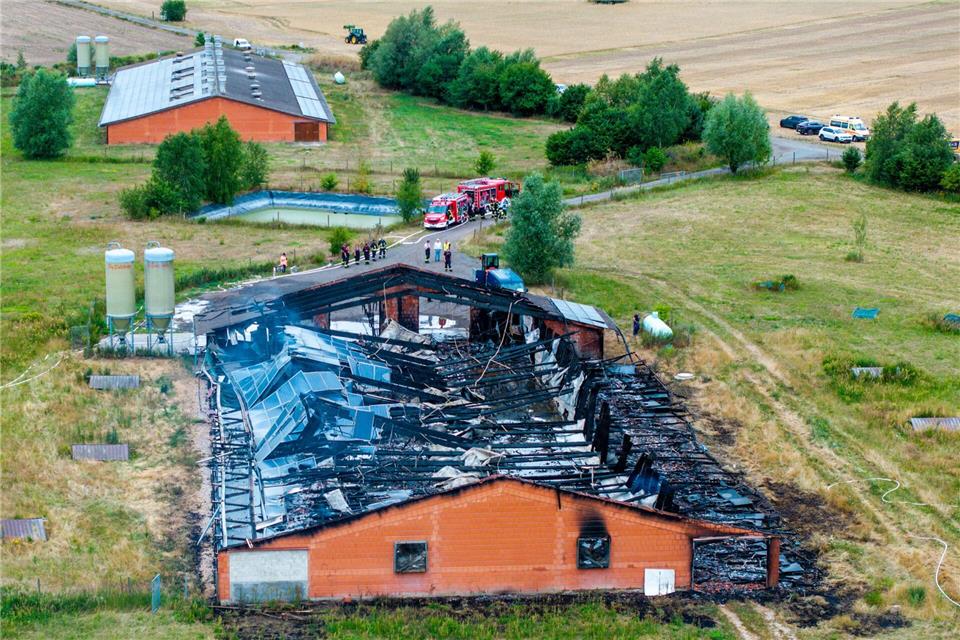 Ermittlungen nach Feuer in Stallanlage dauern an Auch die Solaranlage auf dem Dach des Stallgebäudes wurde zerstört.Jens Büttner/dpa