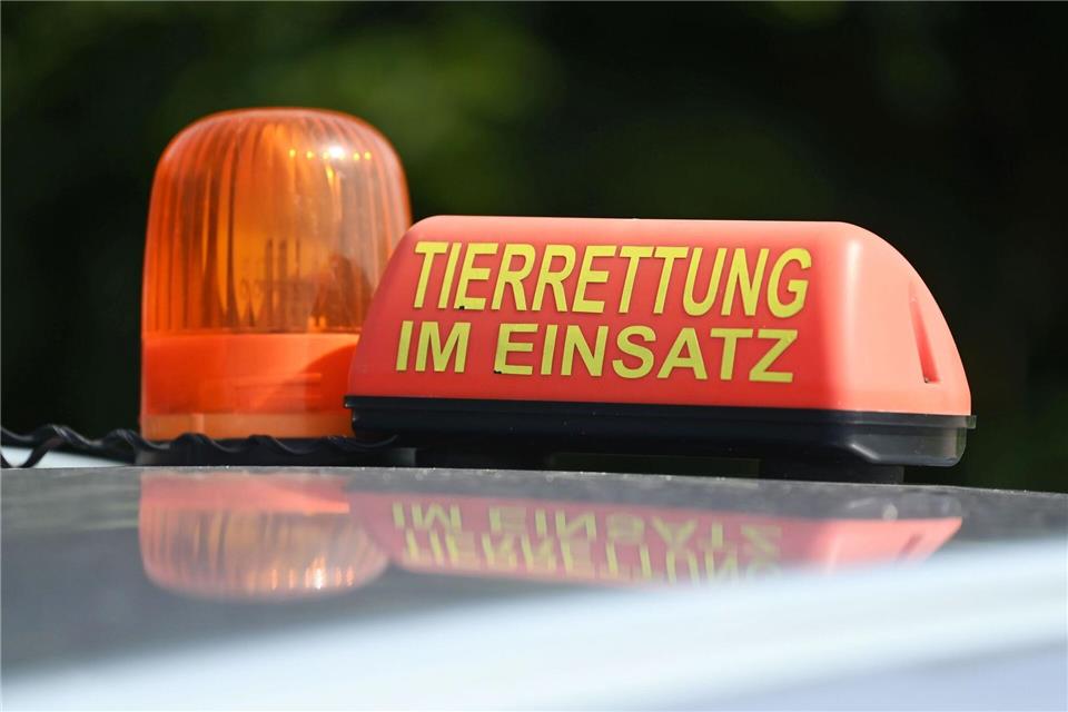 Auch die Tierrettung Südbaden war im Einsatz. (Symbolbild)Uli Deck/dpa