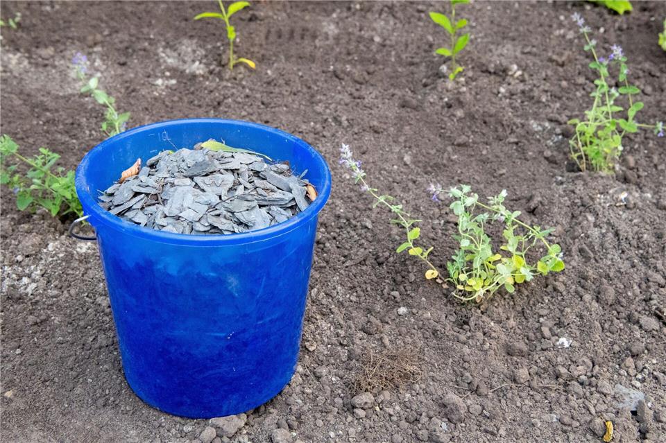 Auch die Umwandlung eines Schottergartens ist ein Beitrag zur Klimaanpassung. (Symbolbild)Melissa Erichsen/dpa