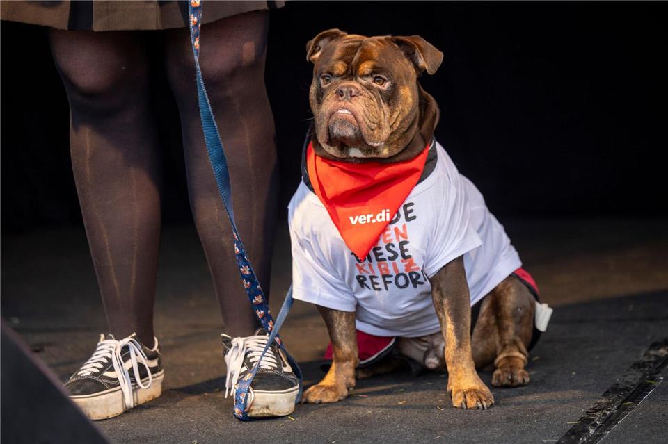 Auch ein Hund war bei den Protesten gegen das neue Kita-Gesetz vor dem Landtag dabei.Thomas Banneyer/dpa