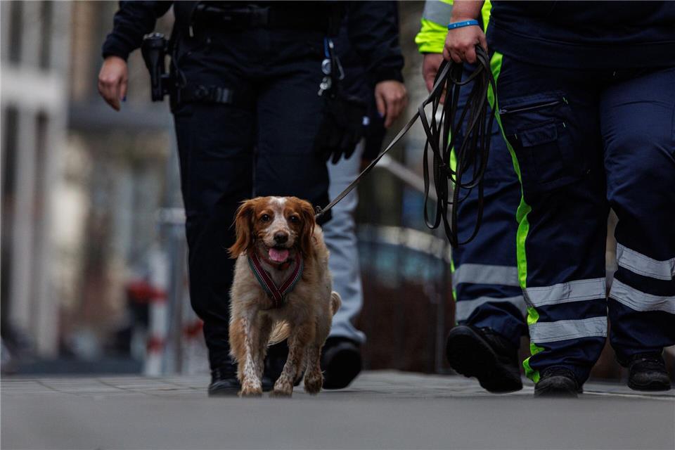 Auch ein Hund war bei der Suche im Einsatz.Hannes P. Albert/dpa