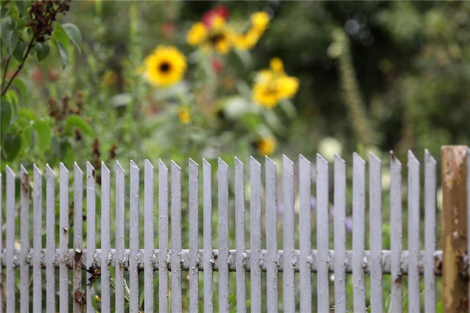 Auch ein solcher Gartenzaun kann manchmal Ort eines Nachbarschaftsstreits sein. (Symbolbild)Bernd Wüstneck/dpa-Zentralbild/dpa
