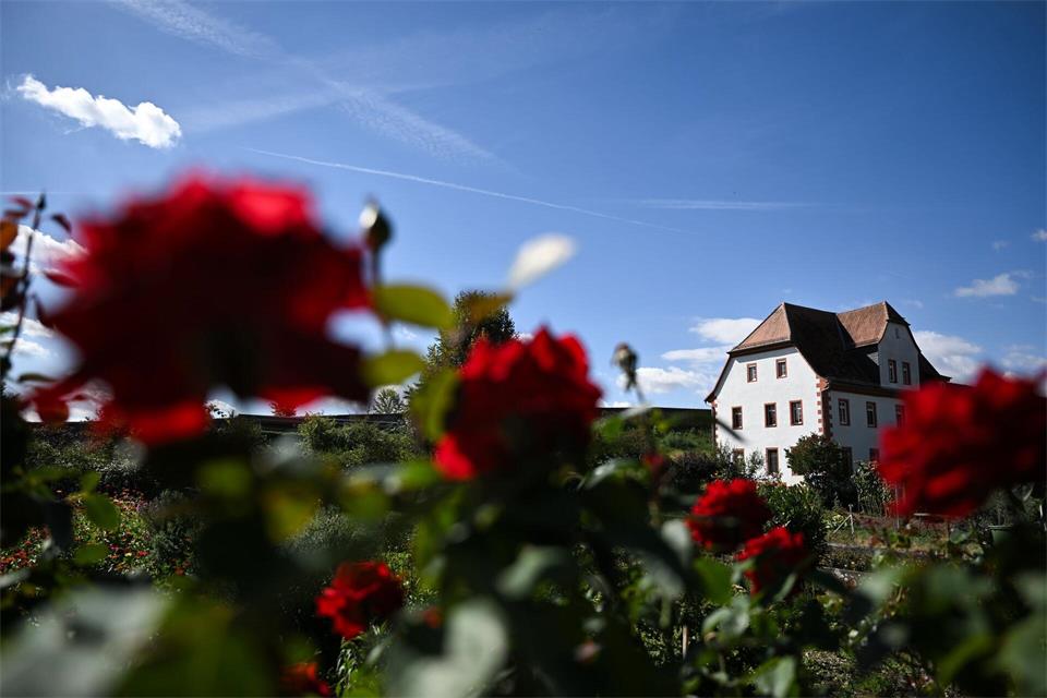 Auch ein weitläufiger Garten, der von den Benediktinerinnen jahrzehntelang liebevoll gepflegt wurde, gehört zu Kloster Engelthal.  Florian Wiegand/dpa