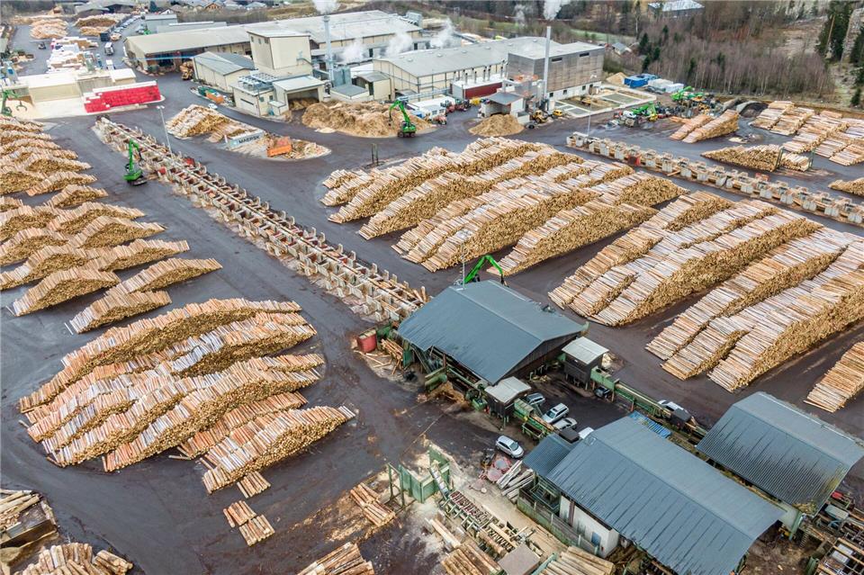 Bilanz der Ziegler-Insolvenz: 1.900 Arbeitsplätze gerettet Auch für das Sägewerk in Plößberg hat sich ein Käufer gefunden. (Archivbild)Armin Weigel/dpa