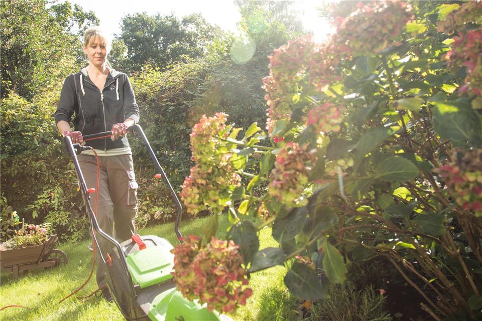 Auch im Herbst wird der Rasen noch gemäht - allerdings nicht mehr so oft.picture alliance / dpa-tmn