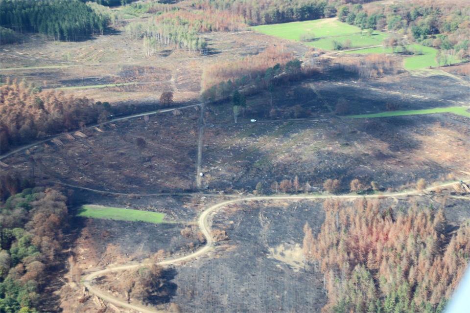 Auch im Hürtgenwald wurden viele Teile des Waldes zerstört. Sascha Thelen/dpa