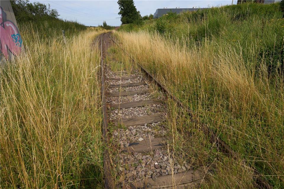 Auch im Saarland kann es sich lohnen, einige stillgelegte Bahnstrecken wiederzubeleben. (Symbolbild)Thomas Frey/dpa