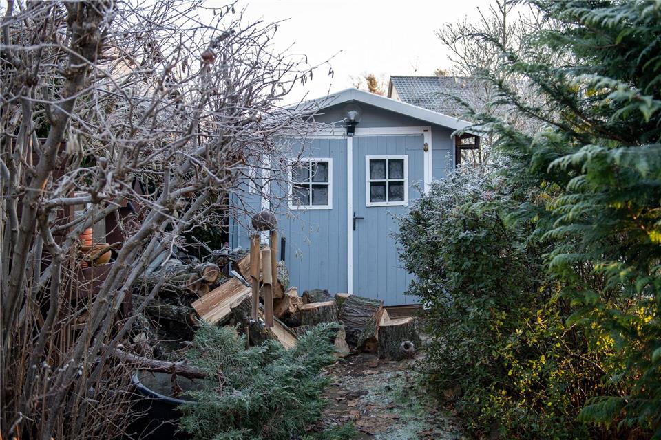 Auch im Winter gilt: Nicht alles aufräumen. Unaufgeräumte Ecken bieten Nützlingen sichere Rückzugsorte.picture alliance / dpa-tmn